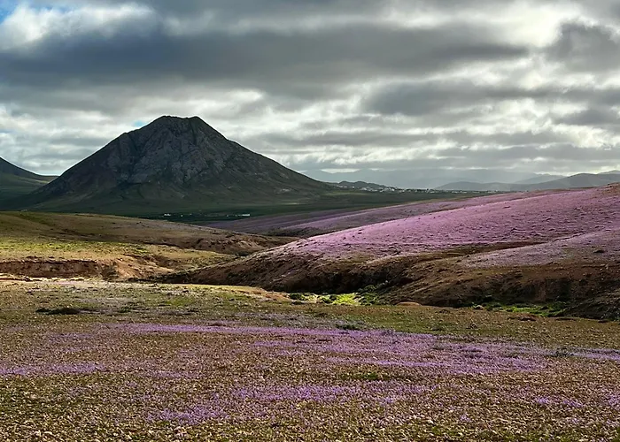 Atlantic 4, Terrace, And Solarium *
